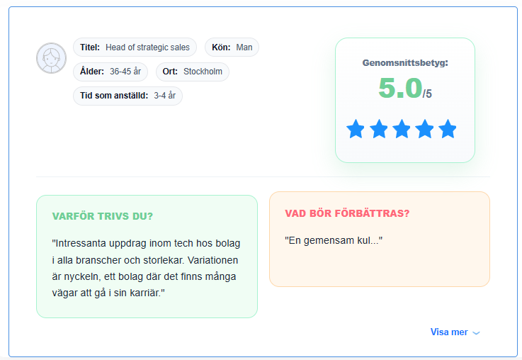 Exempel på omdöme på CareerEye